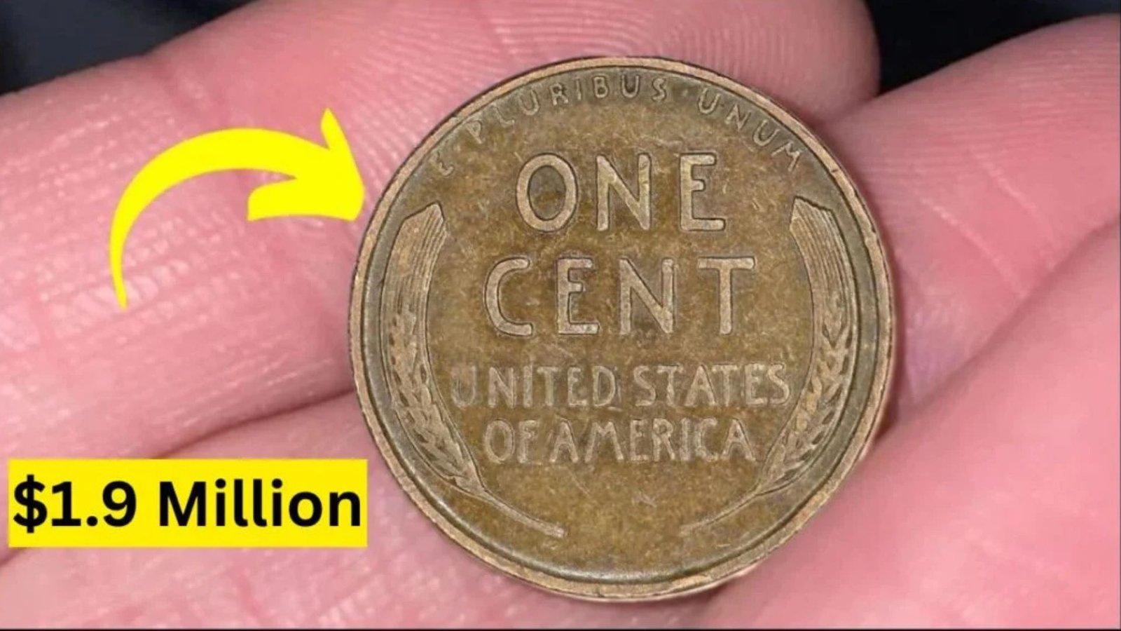 the $1.9 Million Lincoln Wheat Penny